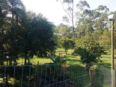 AR DO CAMPO SEM SAIR DA CIDADE